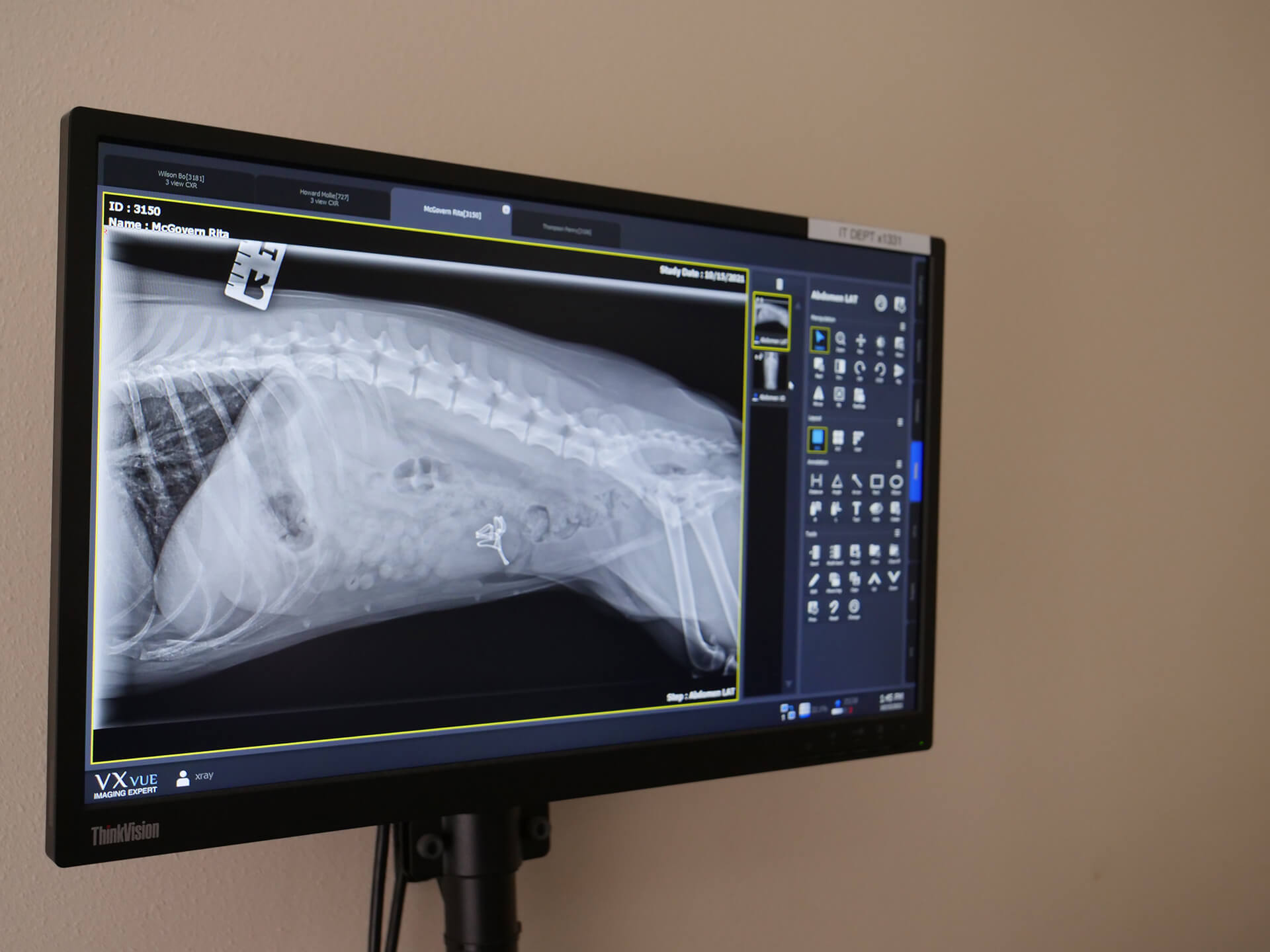 Animal Diagnostics | Canyon Pet Hospital