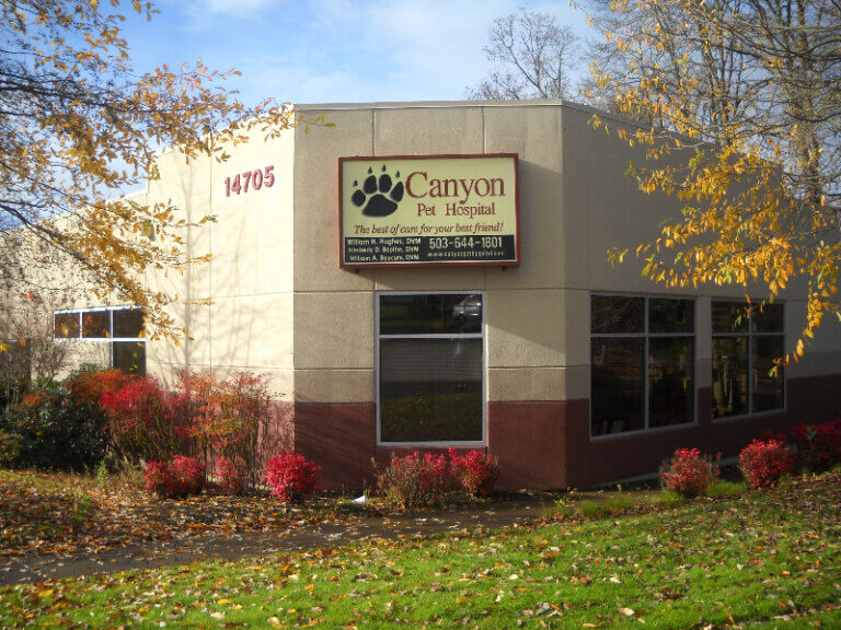 Canyon Pet Hospital Building - Canyon Pet Hospital