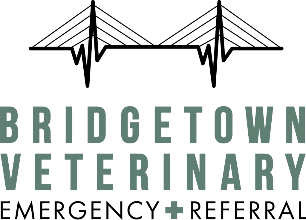 Bridgetown Veterinary Emergency & Referral